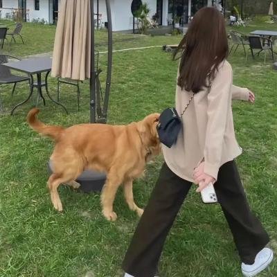 聚焦人生